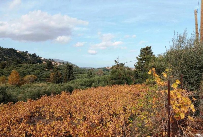Pemonia Kreta, Pemonia: Grundstück innerhalb der Siedlung zu verkaufen Grundstück kaufen